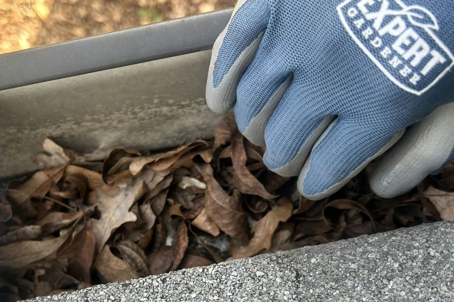 Gutter Cleaning St. Pete Beach FL