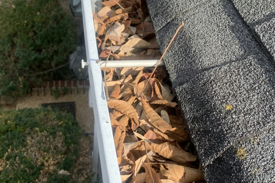 Gutter Cleaning St. Pete Beach FL