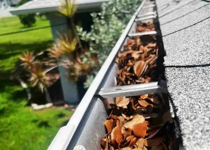 Gutter Cleaning St. Pete Beach FL home page